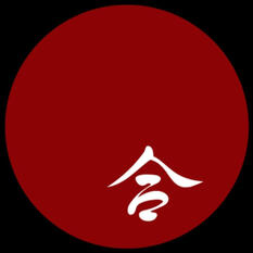 Instituto Aiki